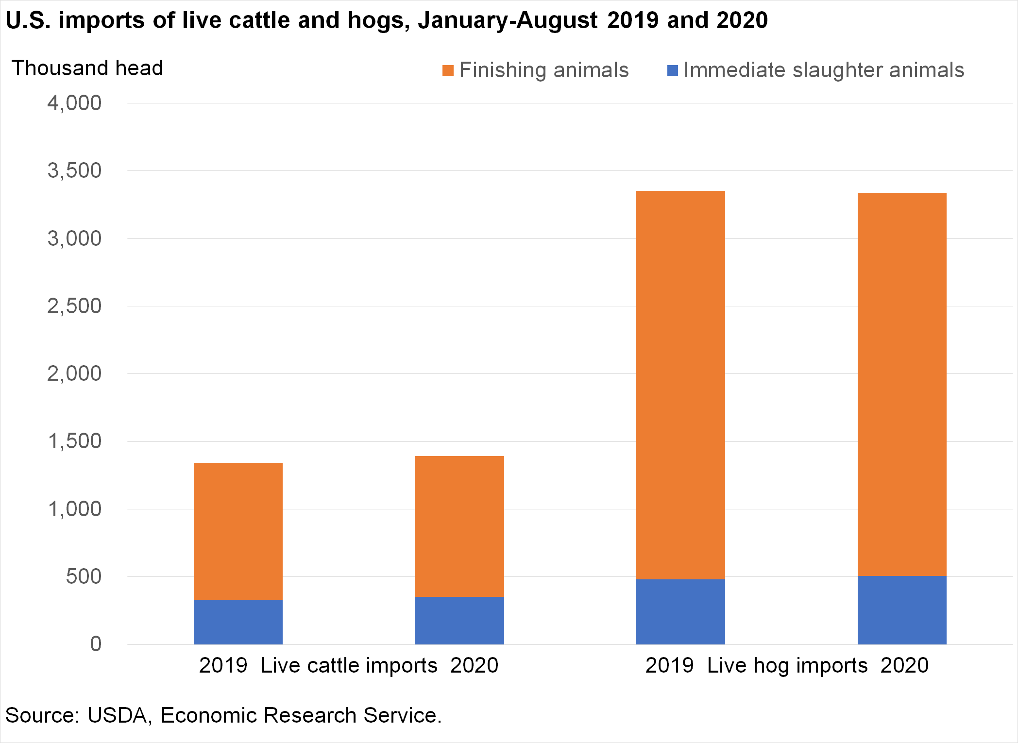 This chart shows: 'January-August 2020 Live Cattle Imports Larger Than in Same Period Last Year, Hog Imports Flat'.