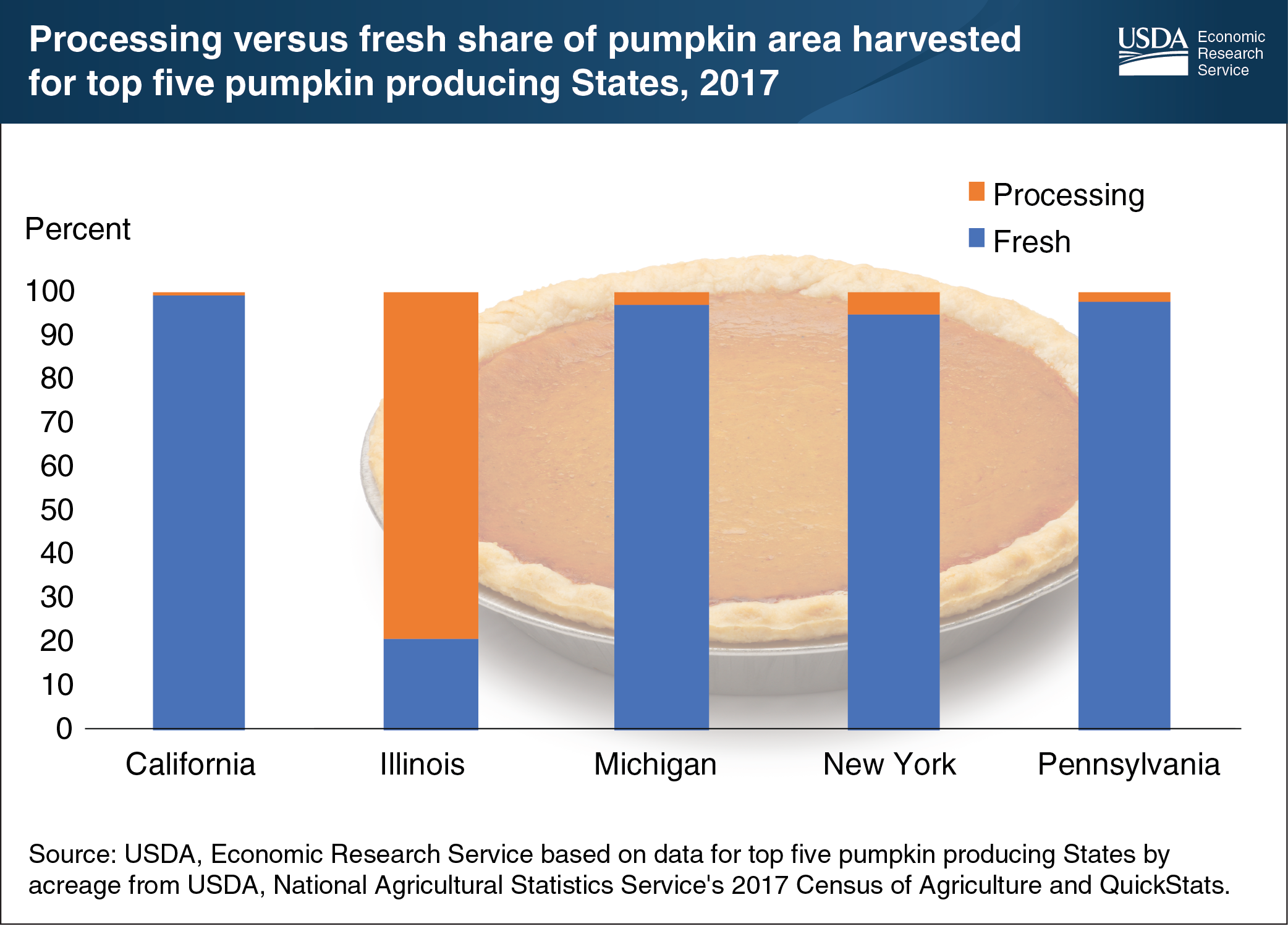 This bar chart shows the processing versus fresh share of pumpkin area harvested for top five pumpkin producing States for 2017.