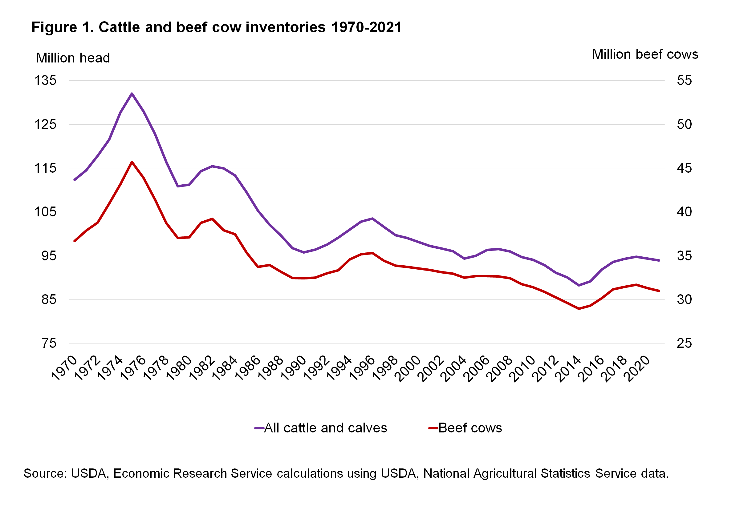 Cattle and beef cow inventories 1970-2021