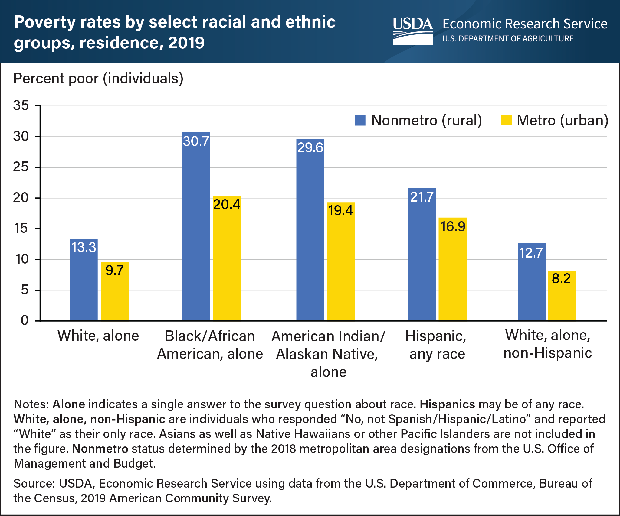 This is a bar chart showing U.S. poverty rates by select racial and ethnic groups and by whether they live in rural (nonmetro) or urban (metro) areas in 2019.