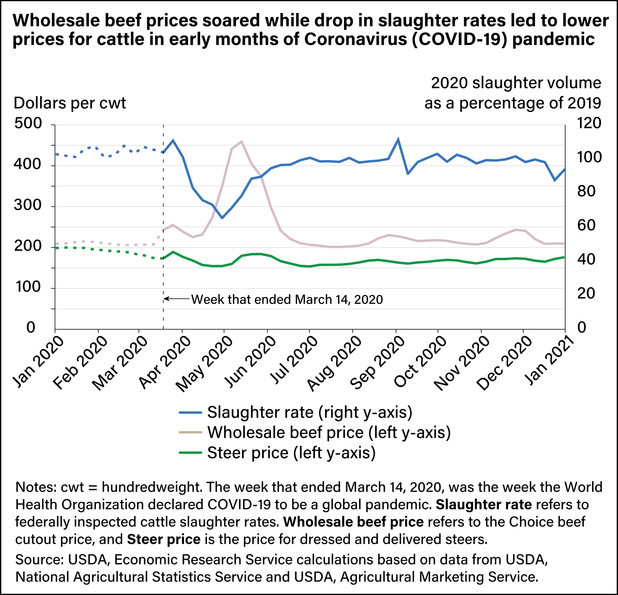 Line chart showing trends for steer and wholesale beef prices and beef cattle slaughter volume from January 2020 to January 2021.