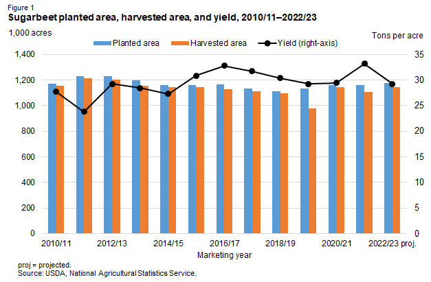 Sugarbeet planted area, harvested area, and yield, 2010/11–2022/23