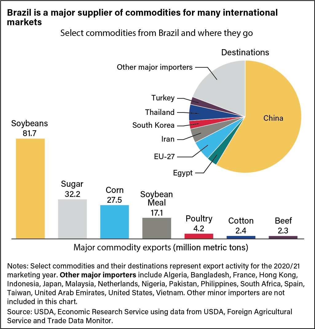 Combination bar and pie chart showing select commodities produced in Brazil and their export destinations.