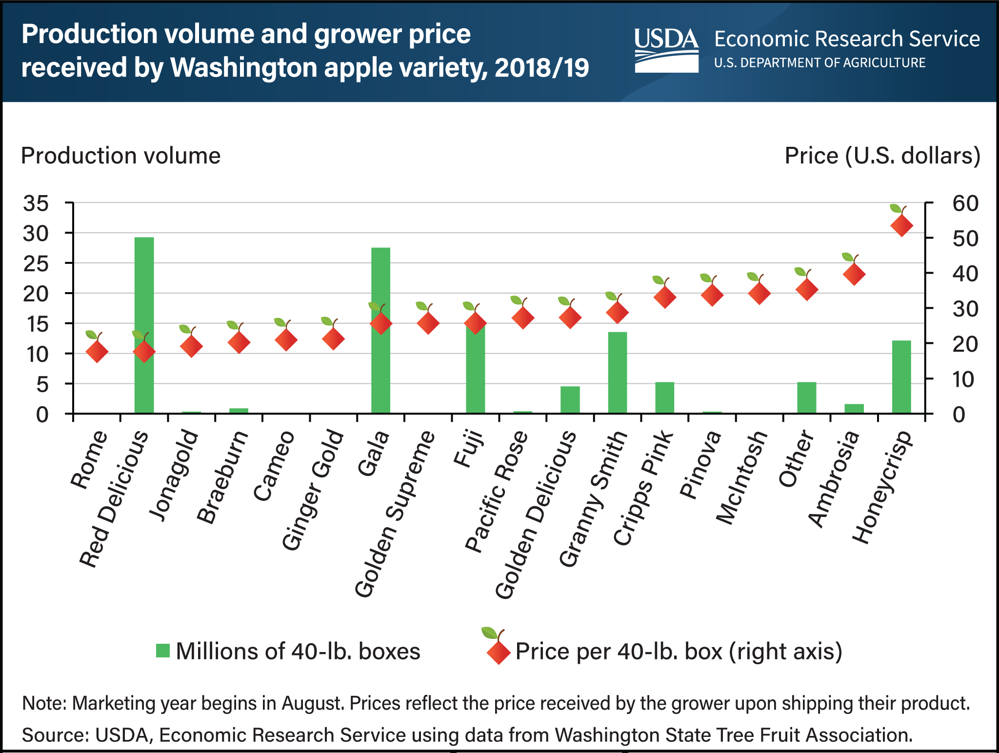 Bar chart showing the production volume of Washington apple varieties in 2018/19, overlain with graphic apples identifying the grower price received for Washington apple varieties.