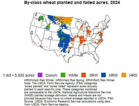 United States map with dots desplaying wheat planted and failed from 2022 by class