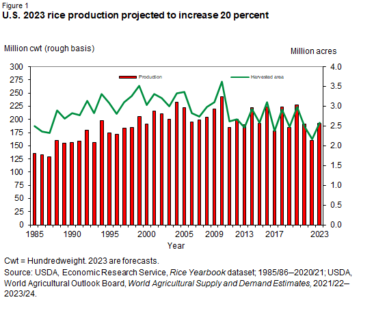 Bar and line chart of U.S. 2023 rice production projected to increase 20 percent
