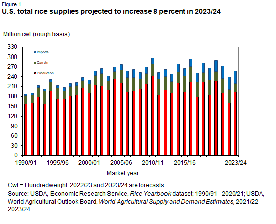 Bar chart of U.S. total rice supplies projected to increase 8 percent in 2023/24