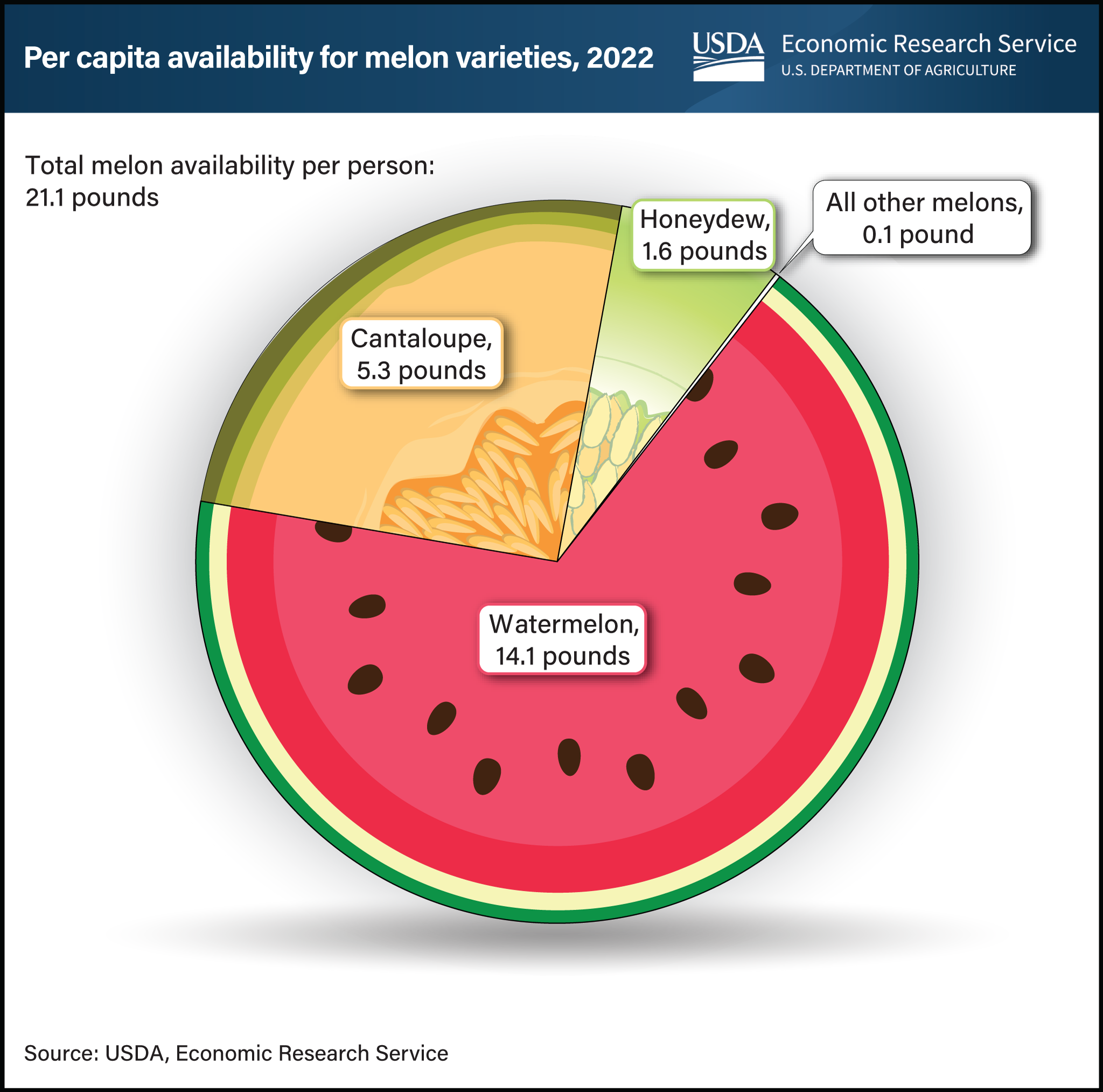 Pie chart depicting available pounds of watermelon, cantaloupe, honeydew, and all other melons available per person in the United States in 2022.
