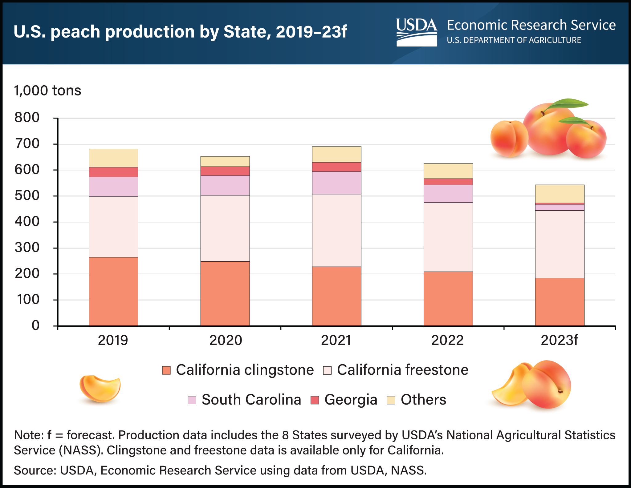 This is a stacked bar chart showing the peach production by State, including California clingstone and freestone, South Carolina, Georgia, and others for 2019 to 2023 (forecast).