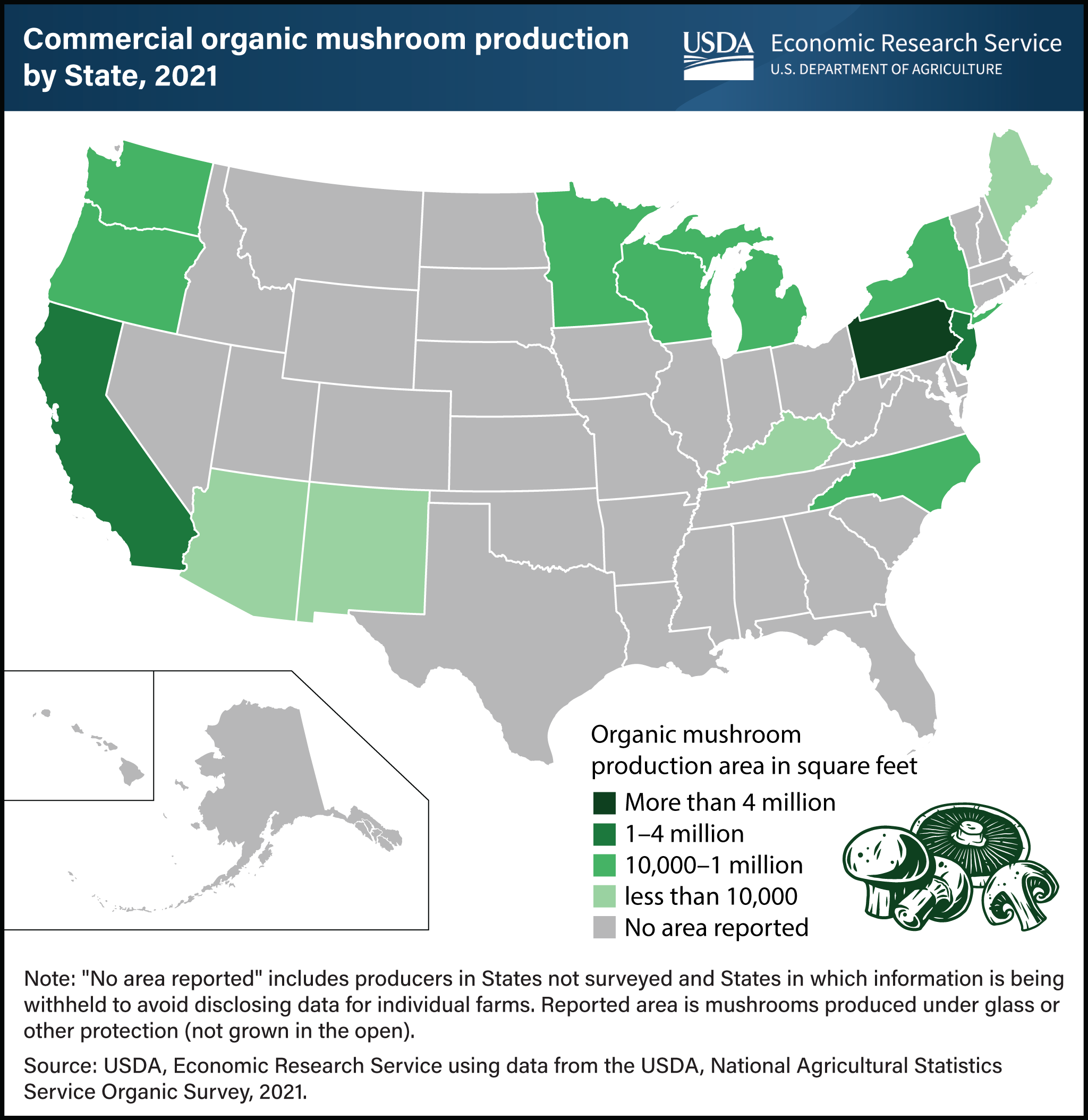 U.S. map showing commercial organic mushroom production by State in 2021.