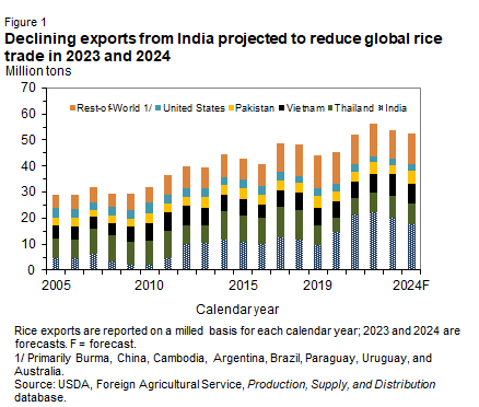 Bar chart showing declining exports for the United States, Pakistan, Thailand, Vietnam, India, and the rest of the world in million tons of rice from 2005 through 2024 which is a forecast.