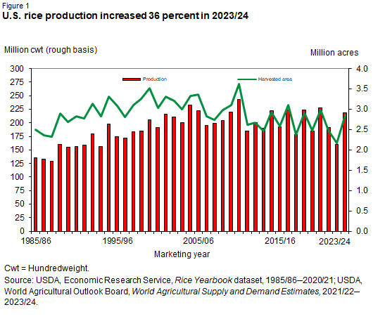 Bar chart showing rice production in million hundred weight rough basis and line chart showing harvested area in million hundred weight rough basis for the marketing years 1985/86 through 2023/24