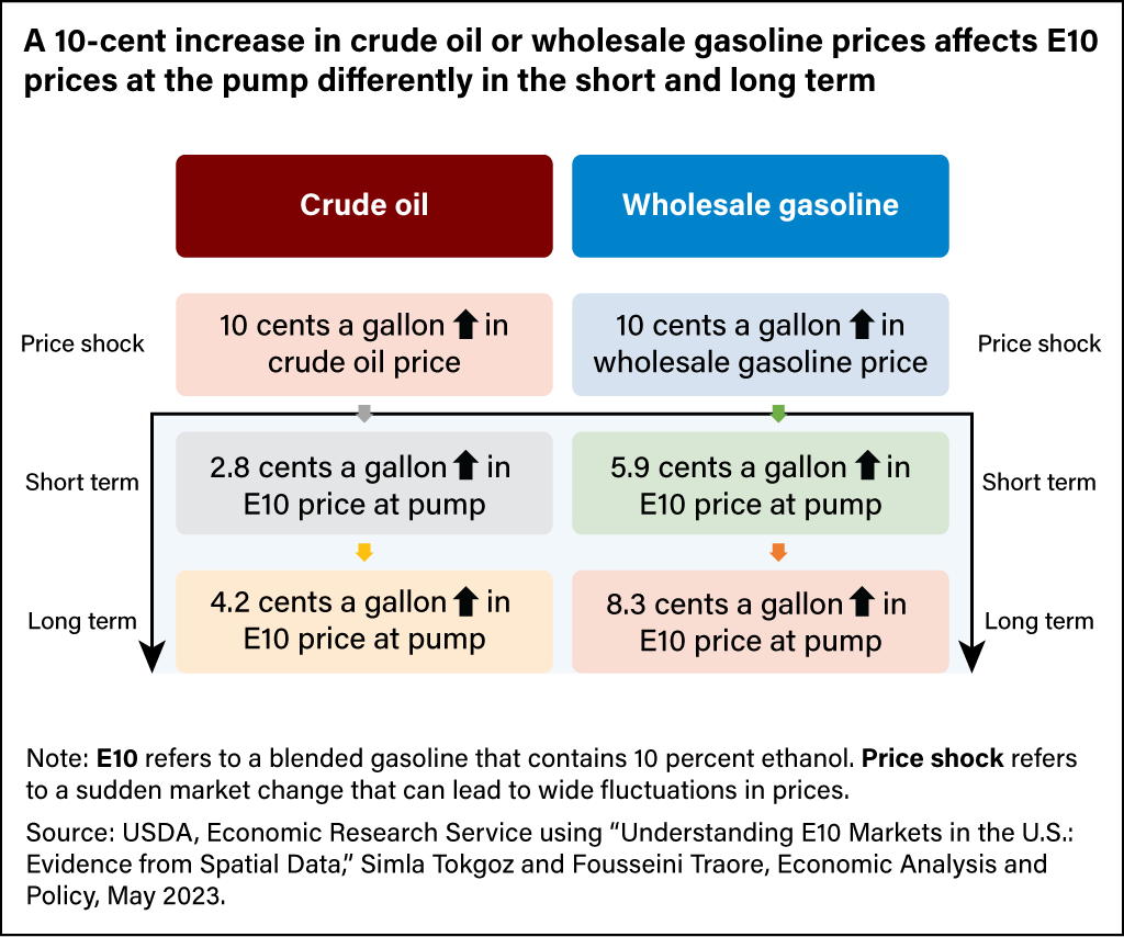 Graphic illustration comparing the effects of a 10-cent price increase in crude oil or gasoline on E10 prices at the pump in the short- and long-term.