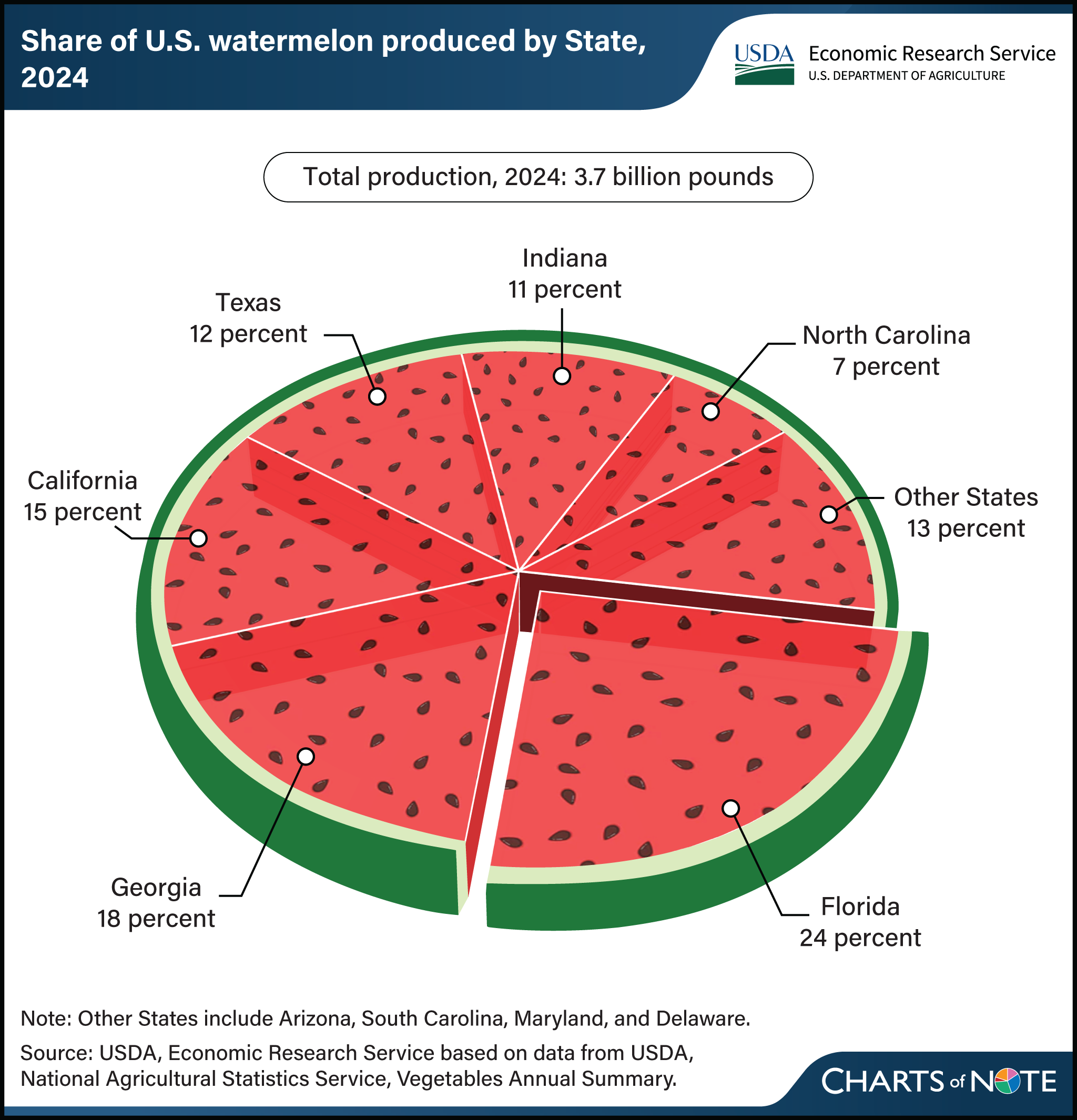 Pie chart designed to look like a watermelon with the share of U.S. watermelon production by State in 2024.