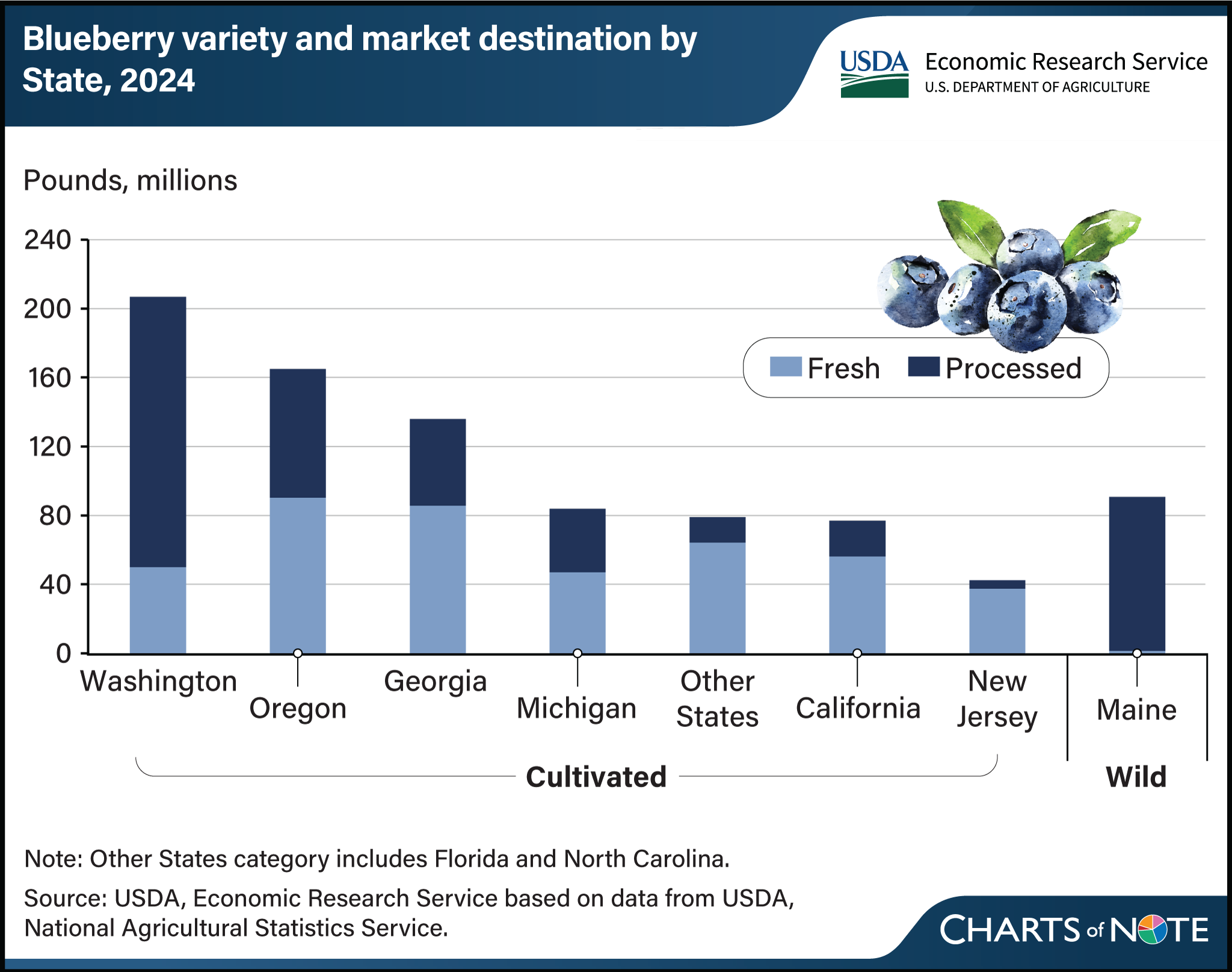 Bar chart showing the blueberry variety and market destination by State in 2024.