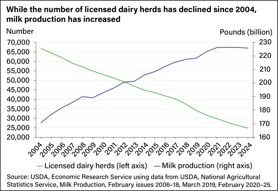 Line chart showing the number of licensed dairy herds and milk production from 2004 to 2024.