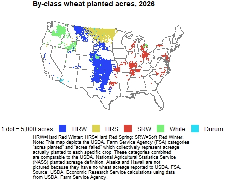 Dot plot illustrating by-class wheat planted and failed acres for 2026, including HRW (Hard Red Winter), HRS (Hard Red Spring), SRW (Soft Red Winter), white, and durum wheat.