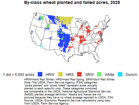 Dot plot illustrating by-class wheat planted and failed acres for 2025, including HRW (Hard Red Winter), HRS (Hard Red Spring), SRW (Soft Red Winter), white, and durum wheat.