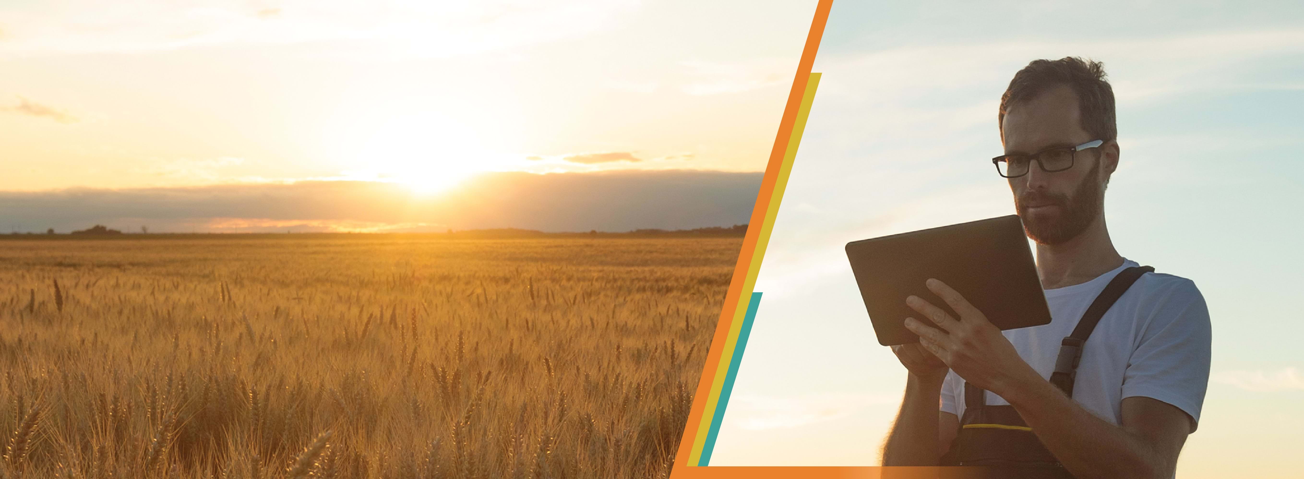 Picture of the sun setting on a vast field on the left, and on the right is a picture of a farmer using a tablet.
