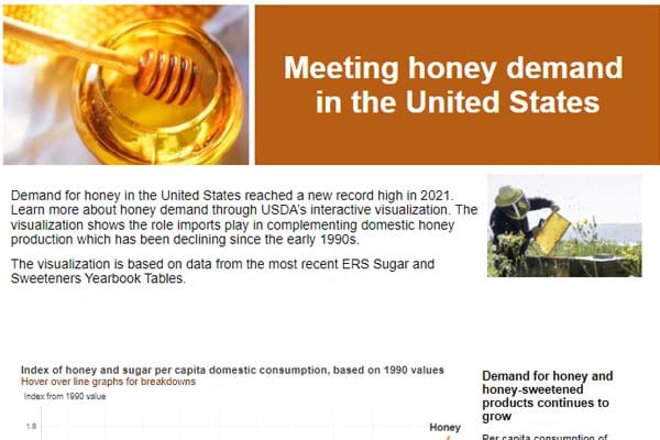 Meeting honey demand in the United States