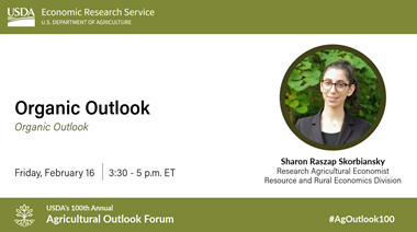 Graphic for Session on Organic Outlook with Speaker Sharon Raszap Skorbiansky