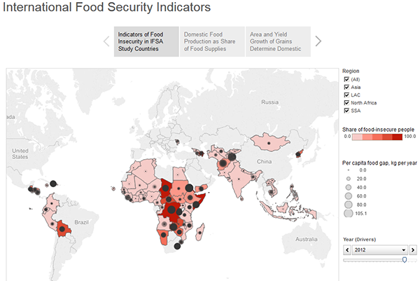 thumbnail International Food Security Indicators