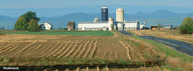 cap payments to farmers