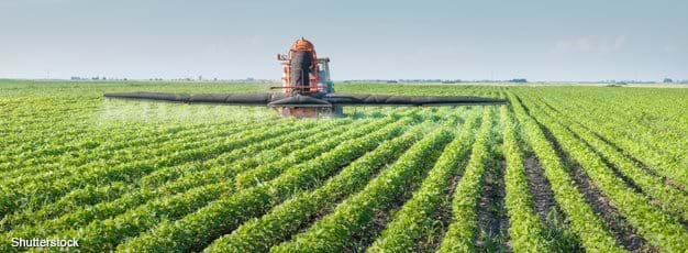 insecticides and pesticides