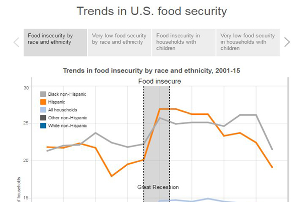 thumbnail Trends in U.S. food security