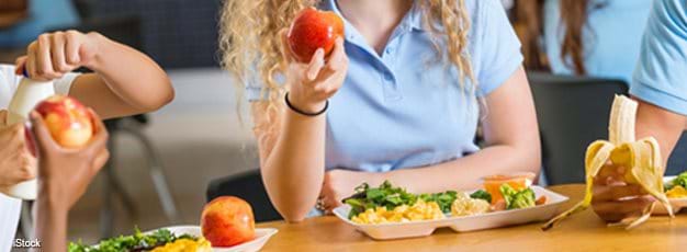 National School Lunch Program / Nutrition Programs / Food
