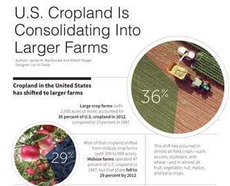 An infographic highlighting data on cropland in the United States.