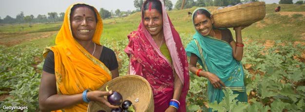 Indian women in field holding baskets of eggplants