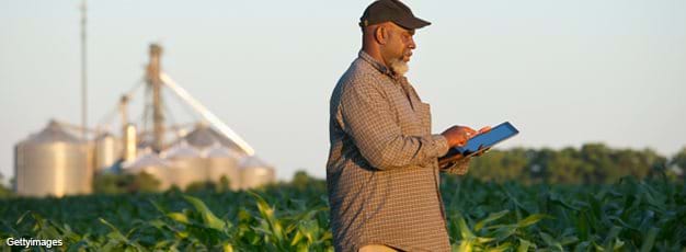 African-American farmer with tablet in corn field