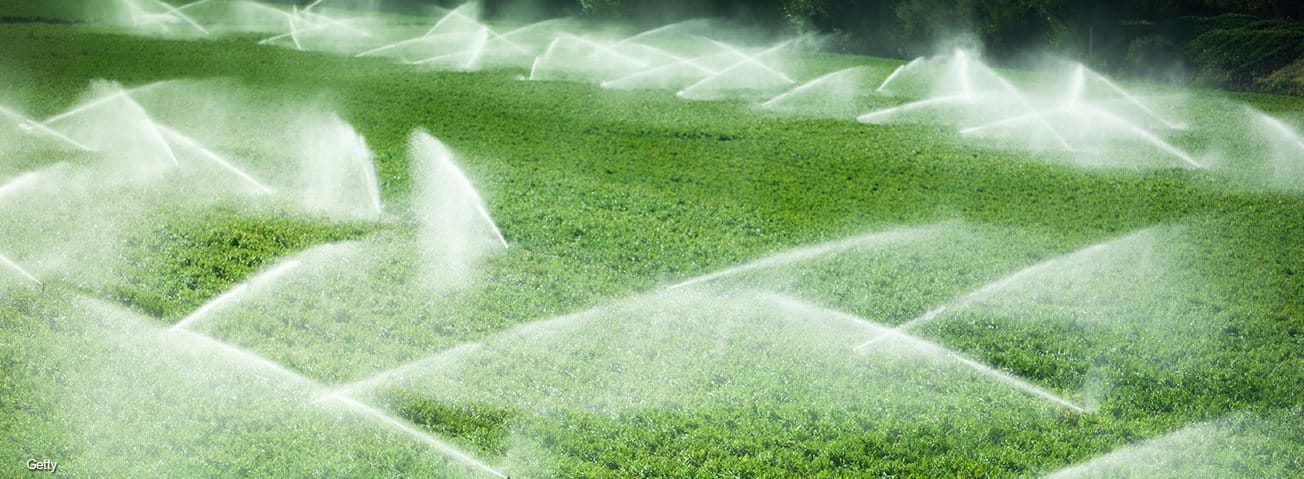 Irrigation sprinklers watering crops
