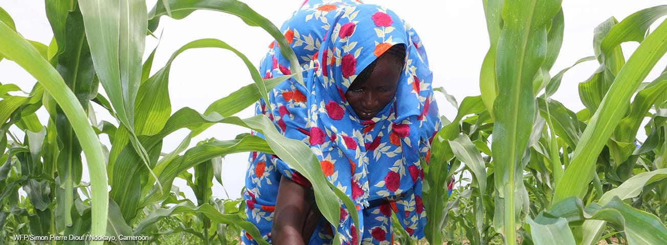 African woman in corn field