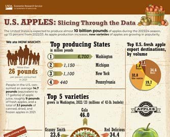 Graphic showing U.S. apple production, consumption, and exports