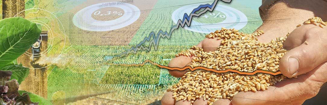 The image has a combine processing corn in a field and the field is imposed by a pie chart that is depicting total factor productivity growth, increasing line charts, and hands holding dried barley grain. 