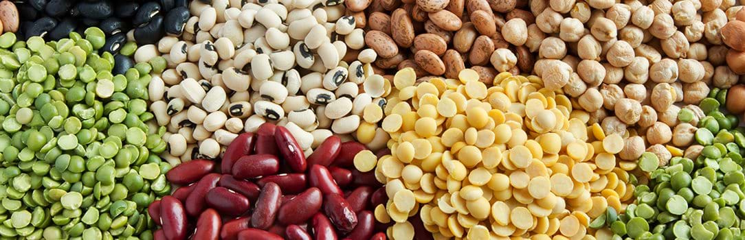 An assortment of pulse crops such as dry beans, chickpeas, and lentils.​