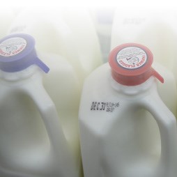 Cover image of Examining the Decline in U.S. Per Capita Consumption of Fluid Cow’s Milk, 2003–18