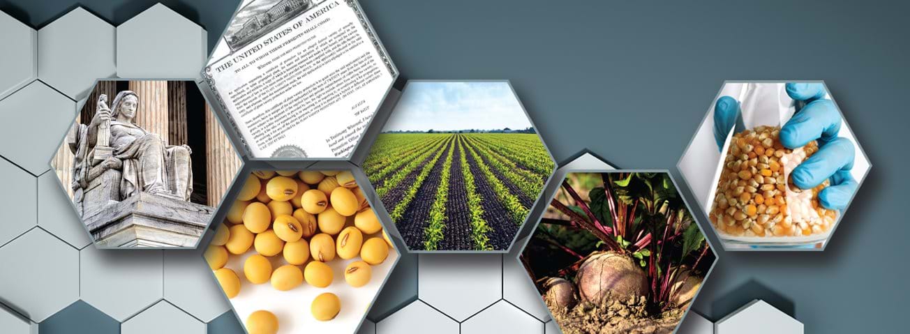 Graphic images with photos in hexagons showing loose seeds, planted fields, copy of a patent, and Contemplation of Justice at the U.S. Supreme Court