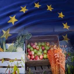 Cover image of Economic and Food Security Impacts of Agricultural Input Reduction Under the European Union Green Deal’s Farm to Fork and Biodiversity Strategies