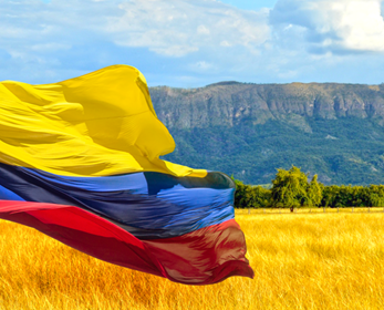 Photo of Colombian field with Colombian flag