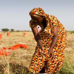 Cover image of GFA-31 International Food Security Assessment, 2020–30
