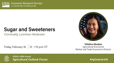 Graphic for Session on Sugar and Sweeteners with Speaker Vidalina Abadam