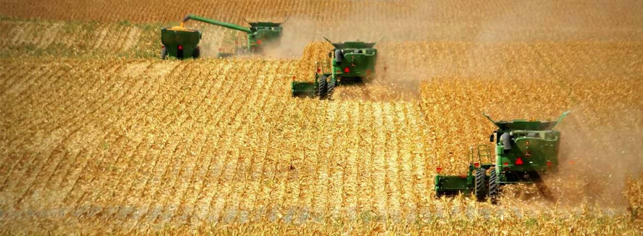 Combines reaping a harvest