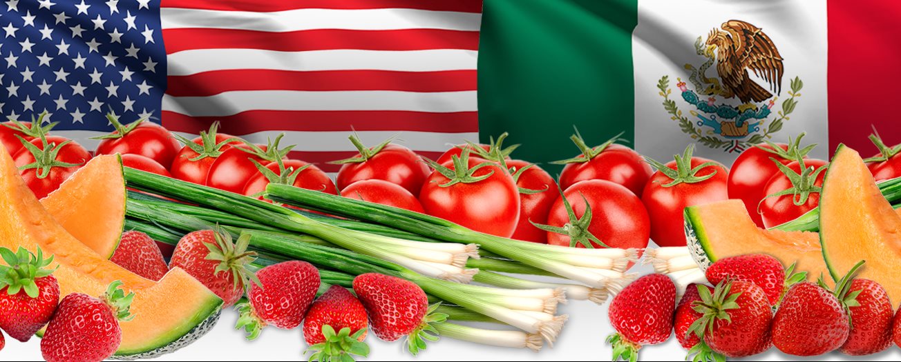 Photo illustration with U.S. and Mexican flags, cantaloupe, green onions, tomatoes, and strawberries.