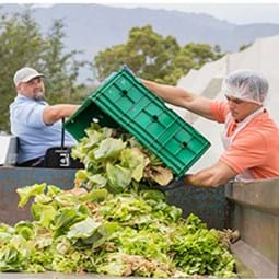 Cover image for Economic Drivers of Food Loss at the Farm and Pre-Retail Sectors: A Look at the Produce Supply Chain in the United States