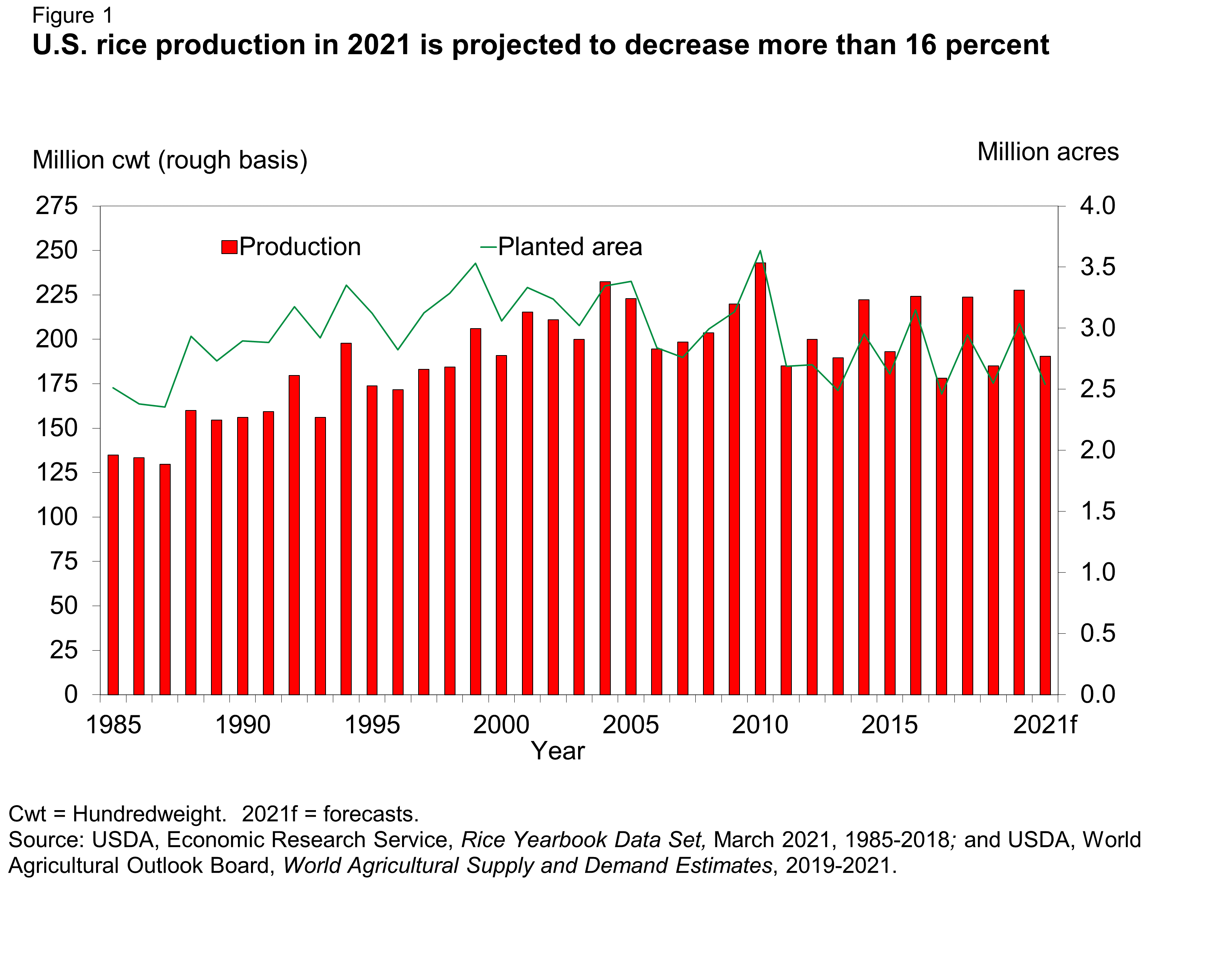 Bar Chart of U.S. rice production in 2021 is projected to decrease more than 16 percent