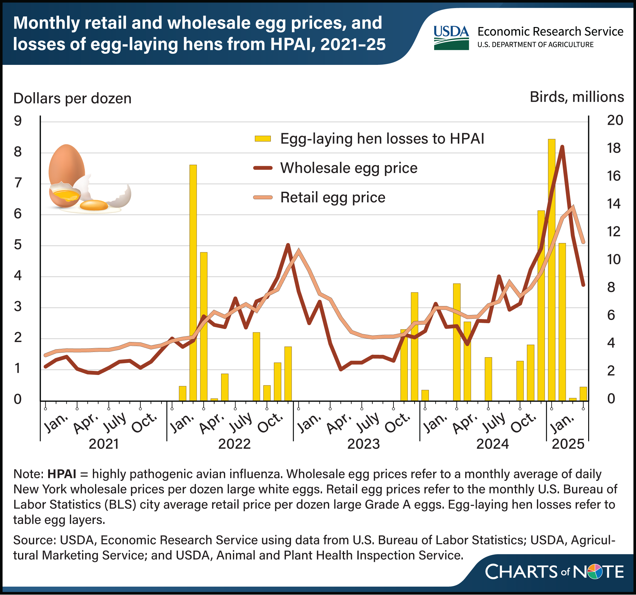 Bar and line chart showing monthly retail and wholesale egg prices, and losses of egg-laying hends from highly pathogenic avian influenza from 2021 to 2025.