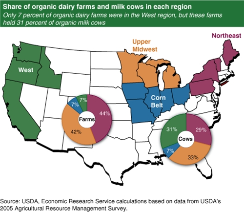 A map of the U.S. showing the share of organic dairy farms and milk cows in each region.